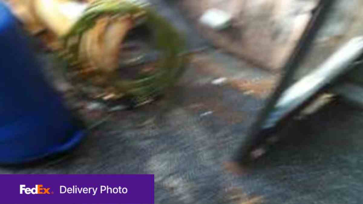 Photos Taken After Delivery Can Reduce the Influx of Calls for Help